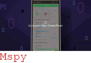 Mspy on Iphone